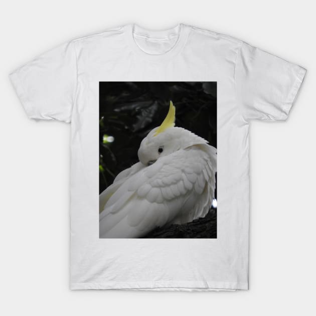 Sulphur Crested Cockatoo T-Shirt by kirstybush